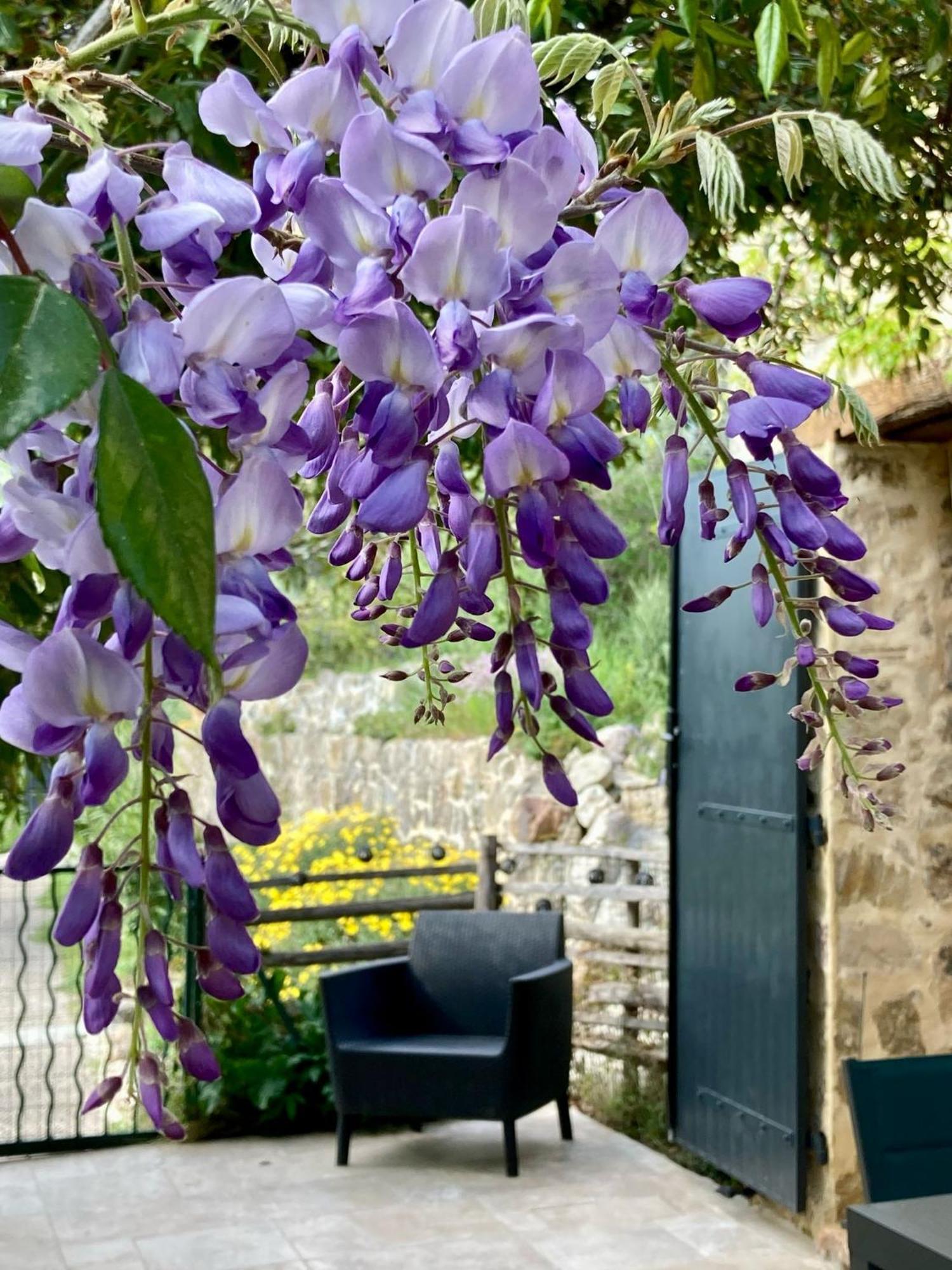 Les Genets Villa Fayence Bagian luar foto